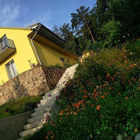 Mezi Stromy Hotel Horakov Buitenkant foto